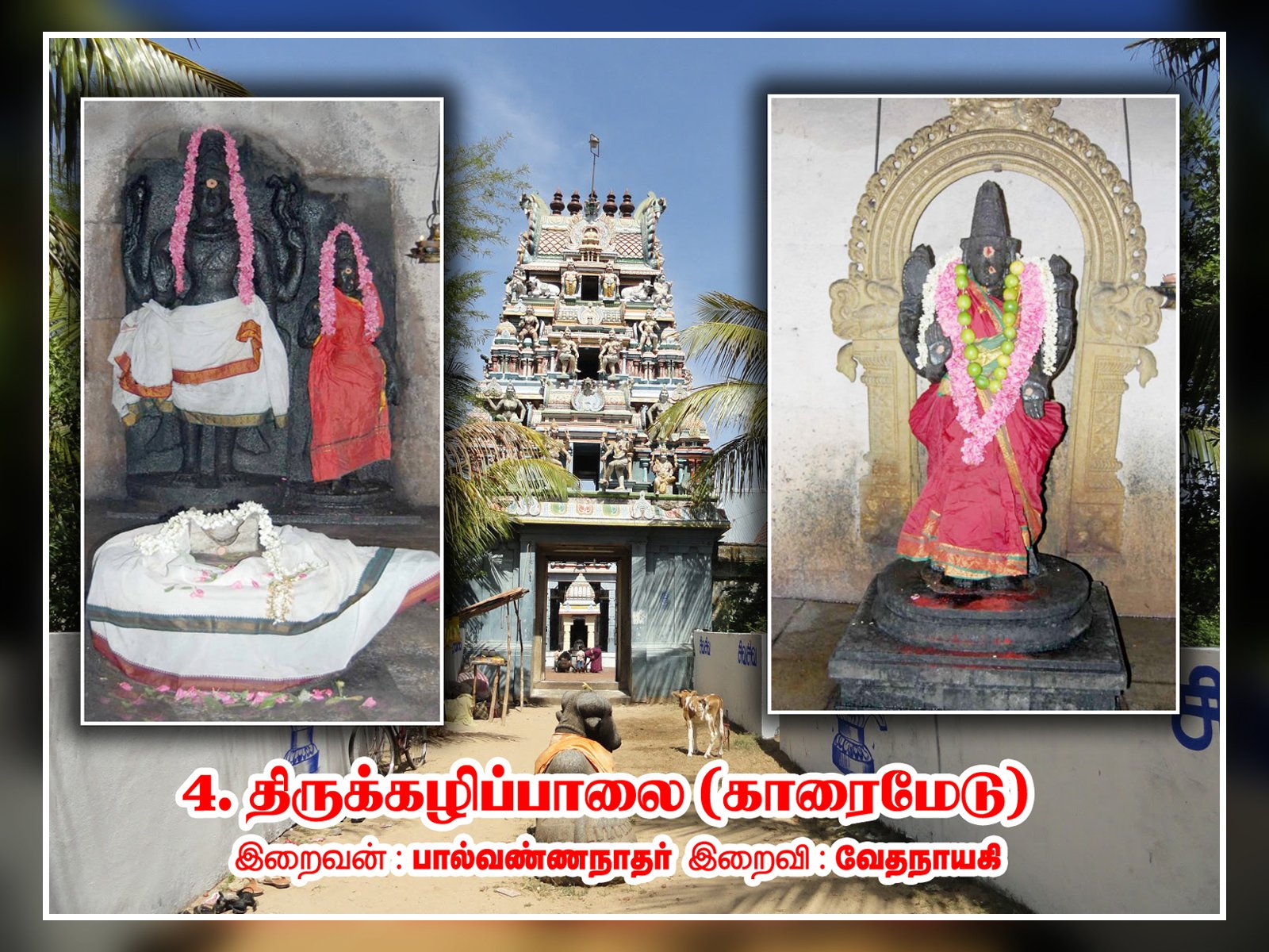பால்வண்ணநாதர் திருக்கோயில் (காரைமேடு)