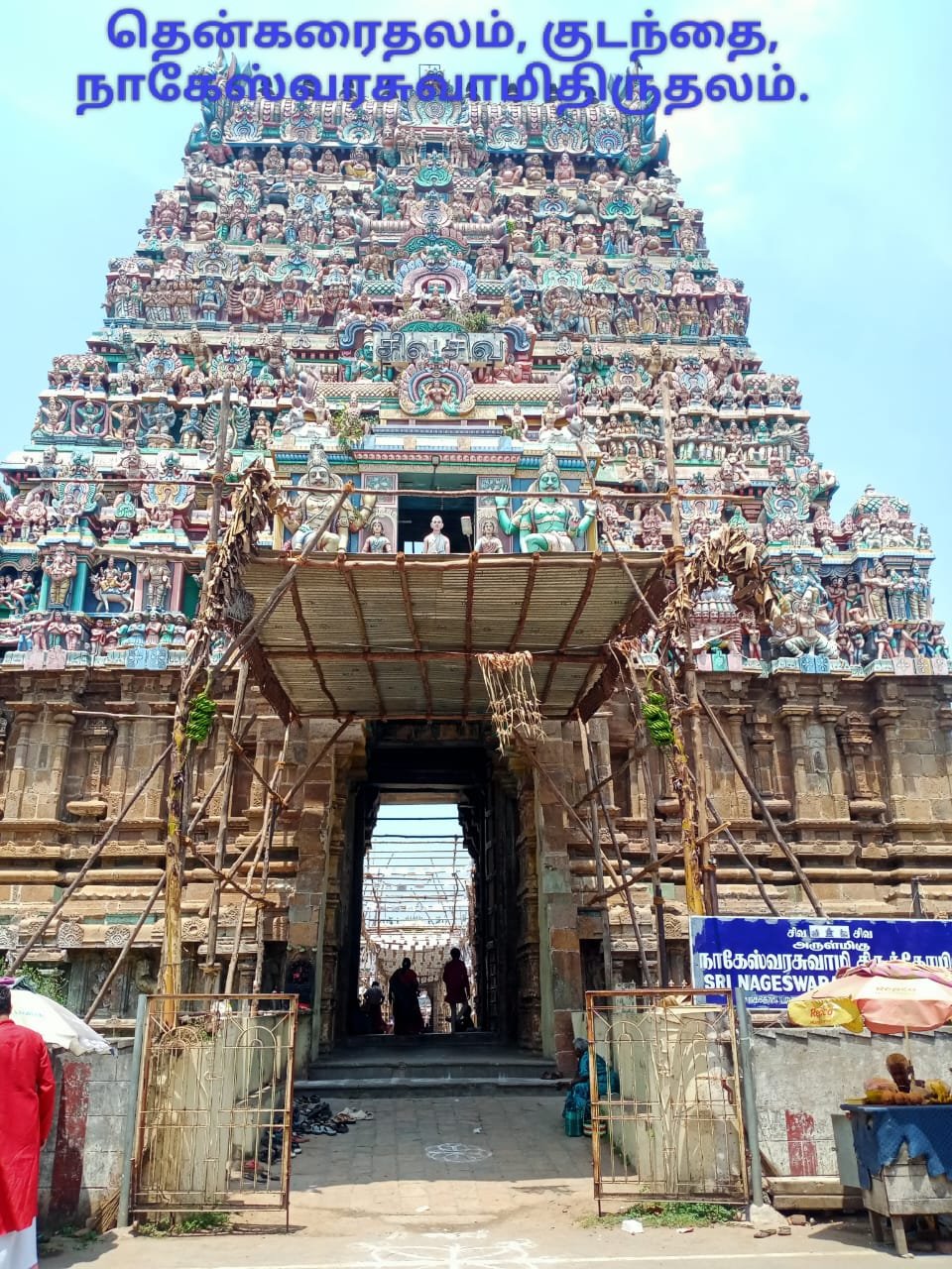 நாகேஸ்வரஸ்வாமி கோயில் 